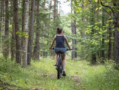 Luxuscamping - Umgebungsschwerpunkt: Berg - Savinjska - Die Umgebung in Südkärnten bietet zahlreiche Radwege und Trails. Diese sind sowohl für Familien als auch für Experten bestens geeignet.  - Lakeside Petzen Glamping Resort