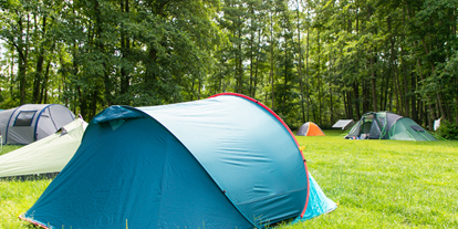 Luxuscamping - Umgebungsschwerpunkt: Meer - Zeltwiese am Wald mit freier Platzwahl. - ostseequelle.camp