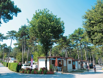 Luxury camping - öffentliche Verkehrsmittel - Gorizia - Trieste - Glamping auf Camping Mare Pineta Baia Sistiana - Camping Mare Pineta Baia Sistiana - Suncamp