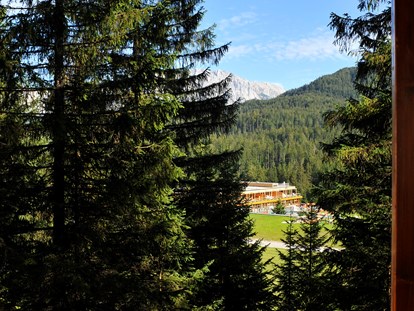 Luxury camping - Oberbayern - Ausblick vom Baumhaus zum Badehaus - Das Kranzbach