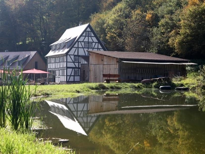 Luxury camping - im Winter geöffnet - Franken - Anlage mit Mühlensee - Baumhaushotel Seemühle