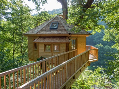 Luxury camping - Hessen Süd - Baumhaushotel Seemühle