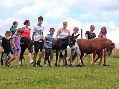 Luxuscamping - Hundewiese - Baden-Württemberg - Pony Reiten für Kinder in den Hauptferien - Camping Schüttehof