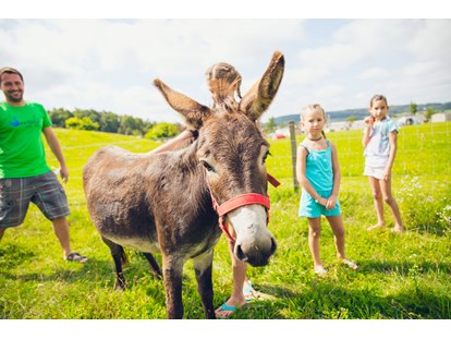 Luxuscamping - Kinderanimation - Streichelzoo - Camping & Ferienpark Orsingen
