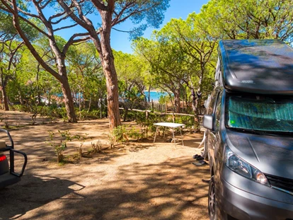 Luxury camping - Glampingplatz autofrei - Mittelmeer - Glamping auf Camping Lacona Pineta - Camping Lacona Pineta