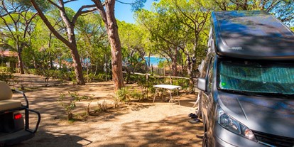 Luxuscamping - Umgebungsschwerpunkt: Strand - Glamping auf Camping Lacona Pineta - Camping Lacona Pineta