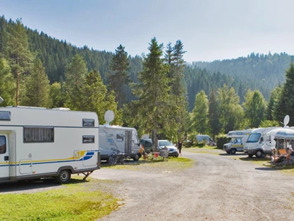 Luxury camping - Kategorie der Anlage: 4 - Schwarzwald - Camping Bankenhof