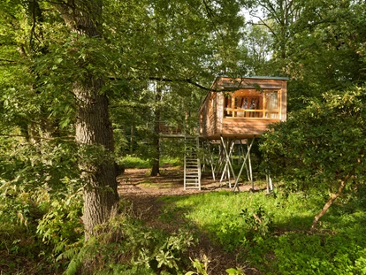 Luxury camping - Umgebungsschwerpunkt: See - Lower Saxony - Bildquelle: http://www.baumgefluester.de/ - Baumhaus Resort Baumgeflüster