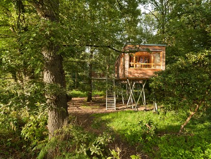 Luxury camping - Umgebungsschwerpunkt: am Land - Bildquelle: http://www.baumgefluester.de/ - Baumhaus Resort Baumgeflüster