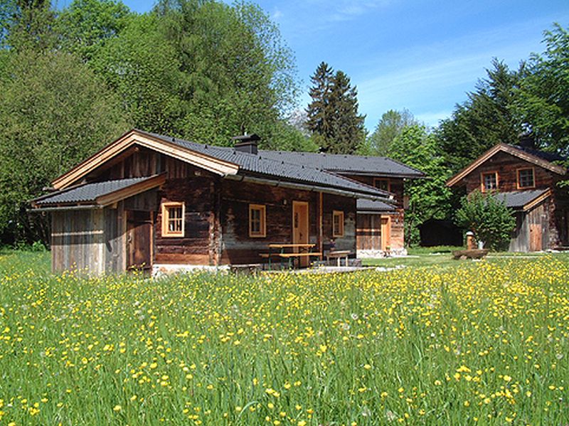 Glamping-Resorts: Almberg Alm im Blumenmeer - Grubhof
