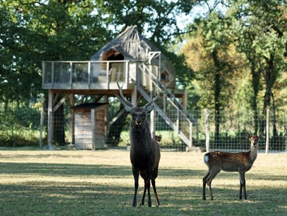 Luxuscamping - Badestrand - Frankreich - Unterkunft inmitten von Tieren - Domaine de la Dombes