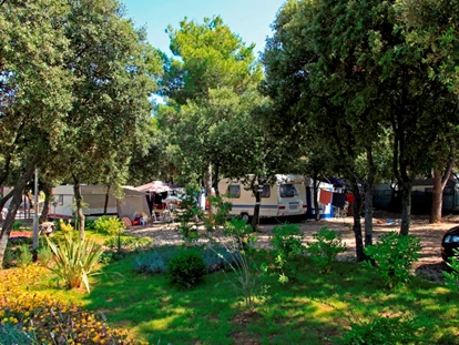 Luxury camping - Umgebungsschwerpunkt: Strand - Zadar - Šibenik - Glamping auf Solaris Camping Beach Resort - Solaris Camping Beach Resort - Suncamp