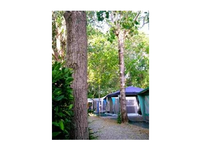 Luxury camping - Hundewiese - Mittelmeer - Glamping auf Campeggio Molino a Fuoco - Campeggio Molino a Fuoco - Suncamp