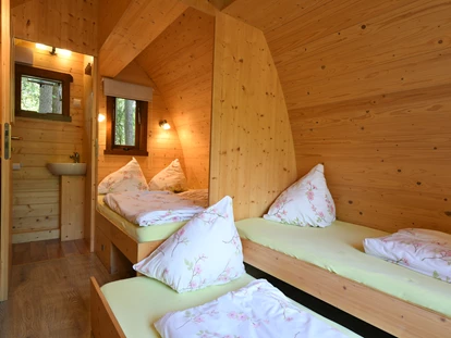 Luxury camping - Kühlschrank - Germany - Innenansicht Penthouse Pod - Waldcamping Brombach Penthouse Pod am Waldcamping Brombach