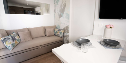 Luxuscamping - Kitchen & living room - Lavanda Camping**** Premium Tris Mobile Home