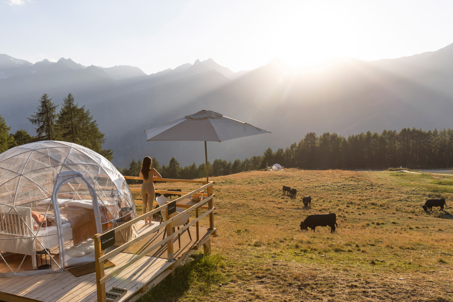 Glampingunterkunft - Adventurly Bubble-Suite | Sternengucker