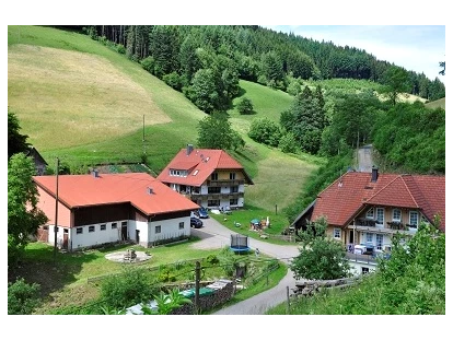 Luxury camping - Kühlschrank - Germany - Unser Vollmershof - Vollmershof Urlaub im Holz-Igloo