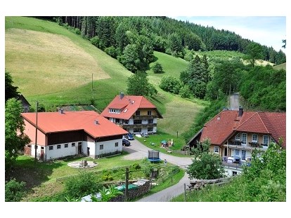 Luxury camping - Dusche - Baden-Württemberg - Unser Vollmershof - Vollmershof Urlaub im Holz-Igloo