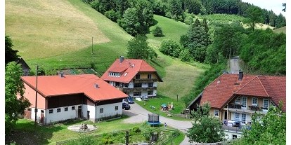 Luxuscamping - Terrasse - Wolfach - Unser Vollmershof - Vollmershof Urlaub im Holz-Igloo