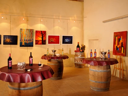 Luxury camping - Kochmöglichkeit - Mittelmeer - Domaine La Yole Wine Resort Mobilheim Chardonnay auf Domaine La Yole Wine Resort