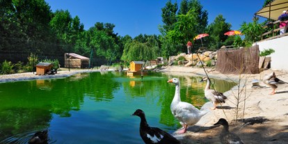 Luxuscamping - Languedoc-Roussillon - Domaine La Yole Wine Resort Lodgezelt Euphoria auf Domaine La Yole Wine Resort
