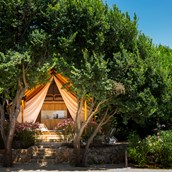Glampingunterkunft - Zelt für Luxuscamping (Glamping) - Krk Premium Camping Resort - Safari-Zelte