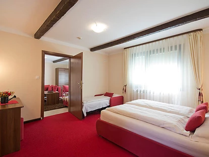 Luxuscamping - TV - Kroatien - Appartement - Plitvice Holiday Resort Appartement auf Plitvice Holiday Resort