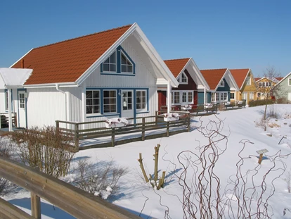 Luxuscamping - getrennte Schlafbereiche - Ferienhaus im Winter - Südsee-Camp Ferienhaus Malmö am Südsee-Camp