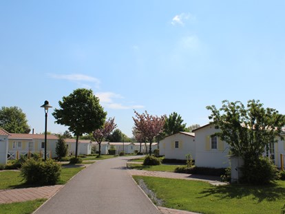 Luxuscamping - Preisniveau: gehoben - Lüneburger Heide - Chalet Bellevue und Kranich - Südsee-Camp Chalet Typ 3 am Südsee-Camp