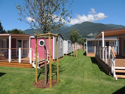 Luxury camping - TV - Switzerland - Campofelice Camping Village Bungalow AZALEA 4 auf Campofelice Camping Village