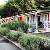 Glamping accommodation - Luxusmobilheim von Gebetsroither am San Marino Camping Resort
