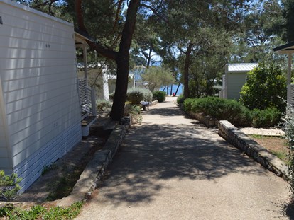 Luxuscamping - Gebetsroither - Cres - Lošinj - Camping Cikat - Gebetsroither Luxusmobilheim von Gebetsroither am Camping Cikat