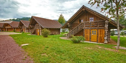 Luxuscamping - Kochmöglichkeit - Schwarzwald - große Natrustammhäuser, Rückseite mit Volleyballfeld - Schwarzwälder Hof Naturstammhaus auf Schwarzwälder Hof