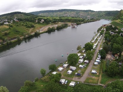 Luxury camping - Germany - Campinglage an der Mosel - Schlaffass / Campingfass / Weinfass in Traben-Trarbach an der Mosel Schlaffass / Campingfass / Weinfass in Traben-Trarbach an der Mosel