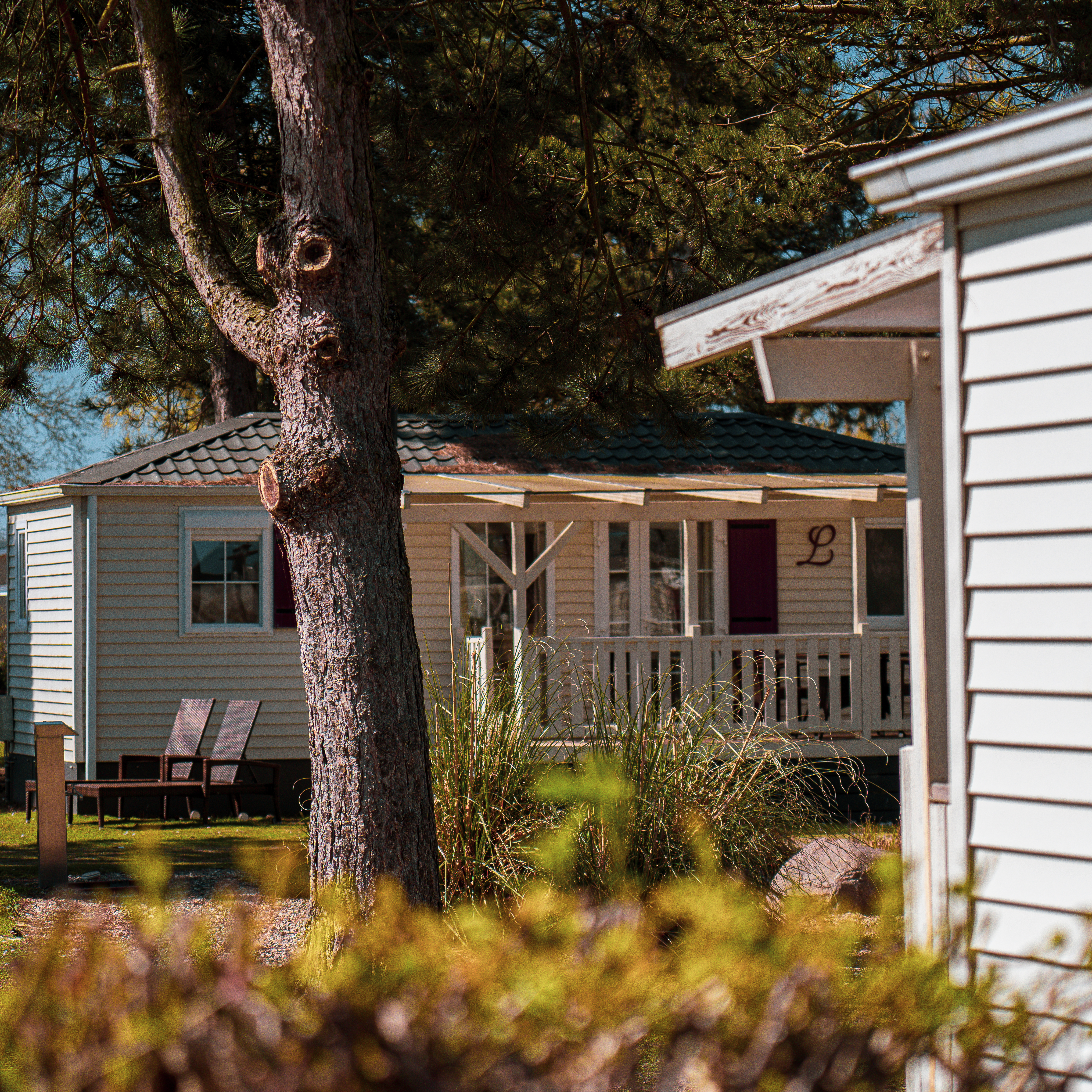 Campeggio di lusso - Mobilheime Sumba 4 Personen am Camping- und Ferienpark Wulfener Hals