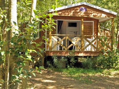Luxury camping - Gard - Camping Les Cascades Mobilheim Texas auf Camping Les Cascades