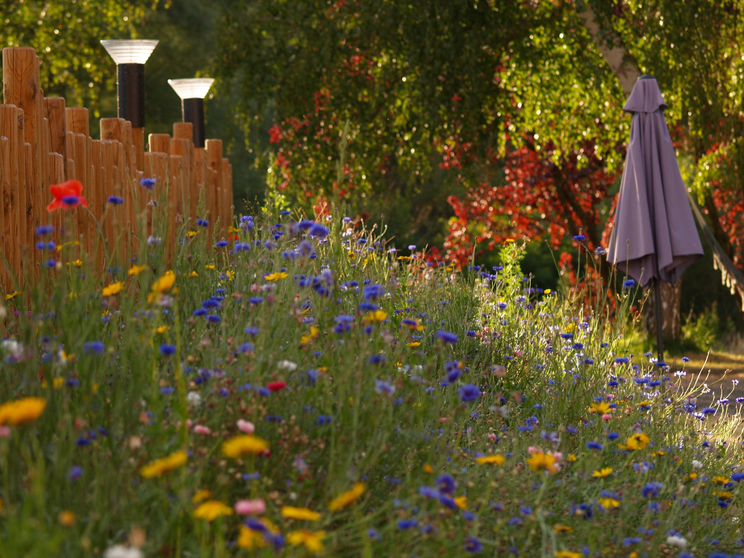 Glampingunterkunft: Cottages auf CosyCamp