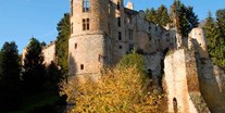 Luxuscamping - Luxemburg - Chateau Beafort. - Camping Neumuehle Muellerthal Eekhoorn, MobilHeim, Muellerthal, Luxemburg 6 Person, Douche, Wc.