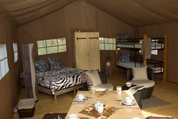 Glampingunterkunft: Im Zelt befindet sich auch eine mobile Küche mit Kocheinheit, Kühlschrank, Spüle und Geschirr. - Safarizelte Camping Park Gohren