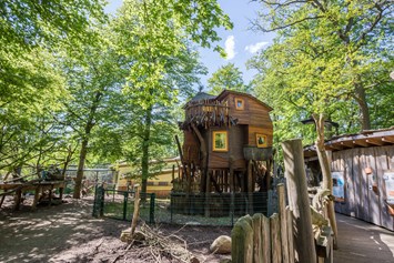 Glampingunterkunft: Baumhaus im Zoo Schwerin