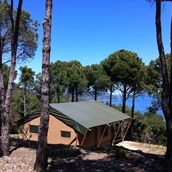 Glampingunterkunft - Tendi safarizelt mit Badezimmer auf Tenuta delle Ripalte - Tendi safarizelt mit Badezimmer auf Tenuta delle Ripalte