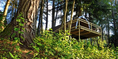 Luxuscamping - Lagerfeuerplatz - Österreich - Panorama Wood-Lodge - Wood-Lodges am Nature Resort Natterer See