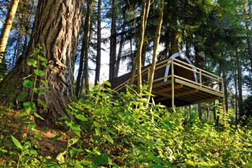Glampingunterkunft: Panorama Wood-Lodge - Wood-Lodges am Nature Resort Natterer See