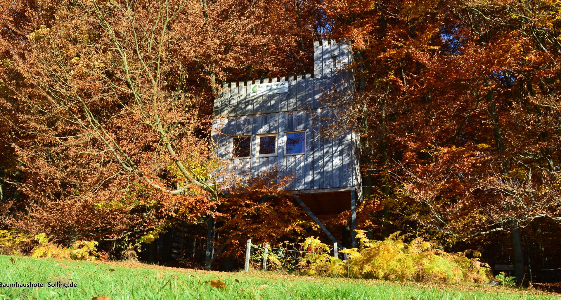 Glampingunterkunft: Baumhaus Burg für 4 Personen, mit Dachterrasse. - Baumhäuser & Baumzelte