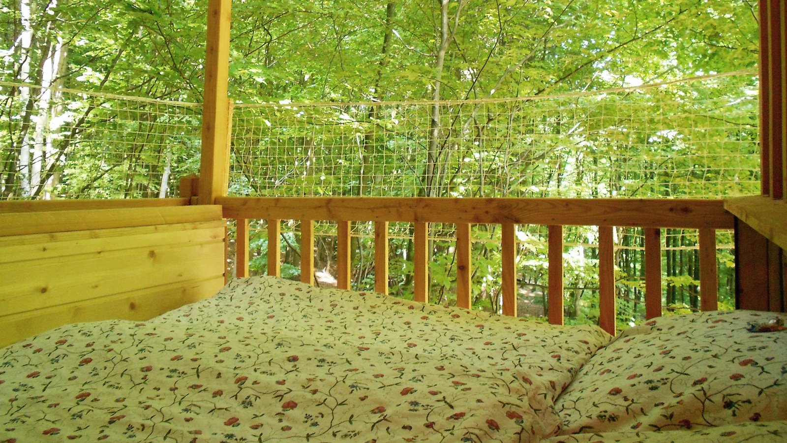 Glampingunterkunft: Baumhaus Freiraum mit Bettbalkon, Natur pur! - Baumhäuser & Baumzelte