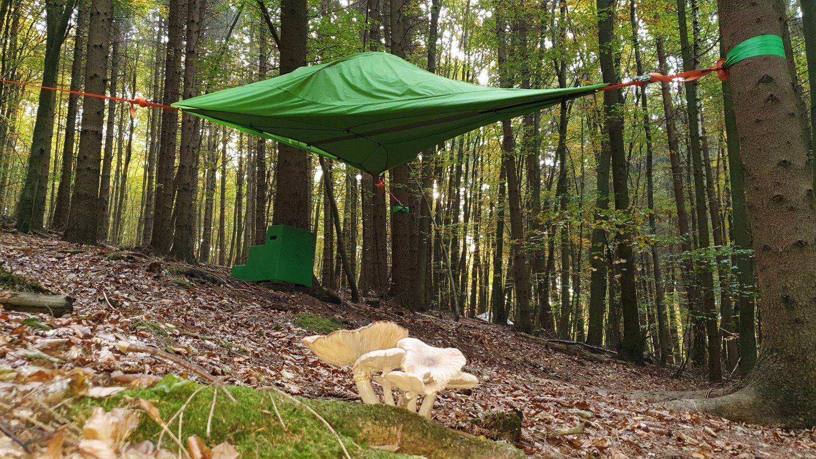 Glampingunterkunft: Abenteuerlich übernachten im Baumzelt. - Baumhäuser & Baumzelte