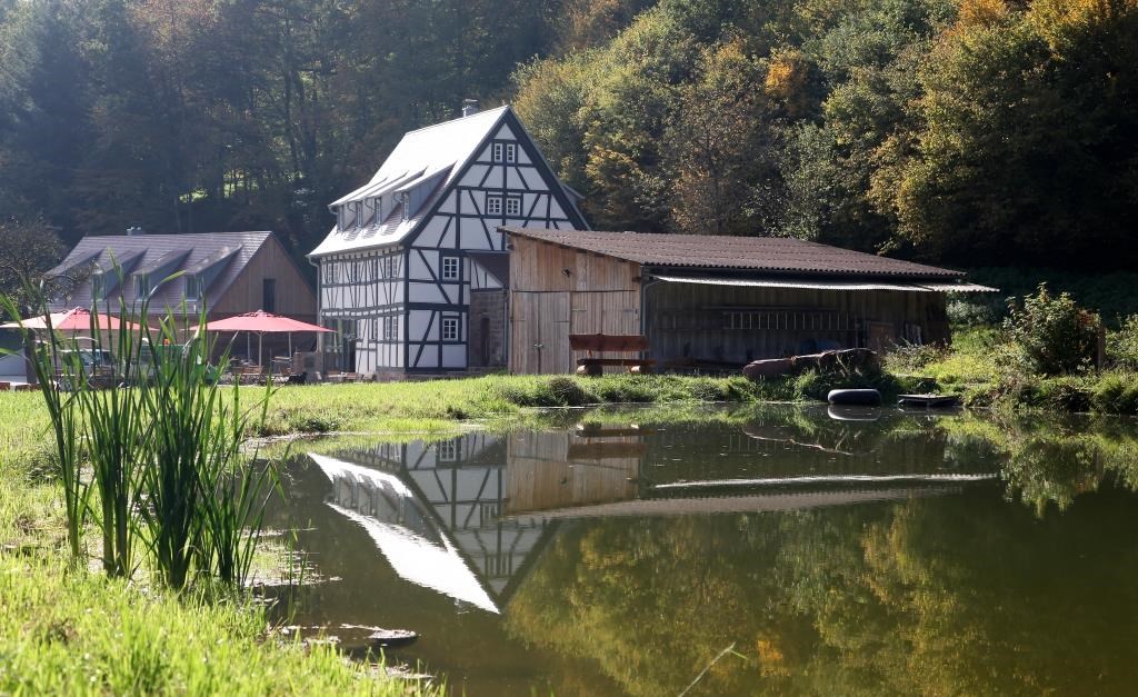Glampingunterkunft: Anlage mit Mühlensee - Baumhaushotel Seemühle
