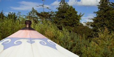 Luxuscamping - Irland - Jurte auf Boutique Camping