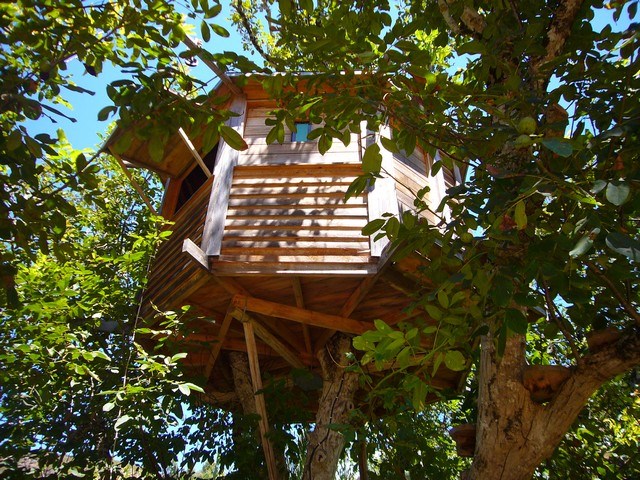 Glampingunterkunft: Bildquelle: http://walnut-tree-farm.com/treehouse/ - The Walnut Tree Farm Treehouse