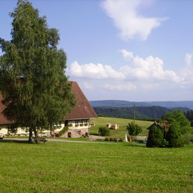 Glampingunterkunft: Aussicht - Podhaus am Äckerhof -  Mitten im Schwarzwald